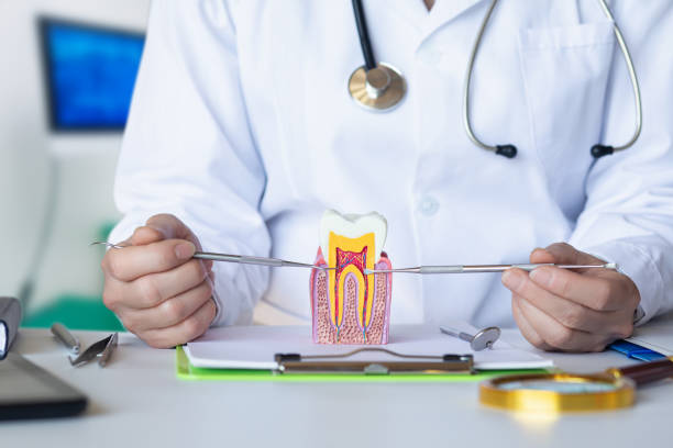 Best Cracked Tooth Emergency Dentist  in West Liberty, OH